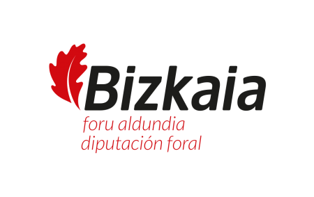 Diputación Foral de Bizkaia DFB/BFA