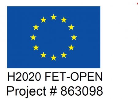 EU H2020 (through the FET OPEN project SPRING: Spin Research in Graphene) 