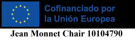 Jean Monnet Chair 10104790
