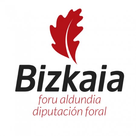 Bizkaiko Foru Aldundia / Diputación Foral de Bizkaia