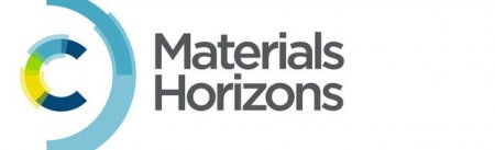 Material Horizons