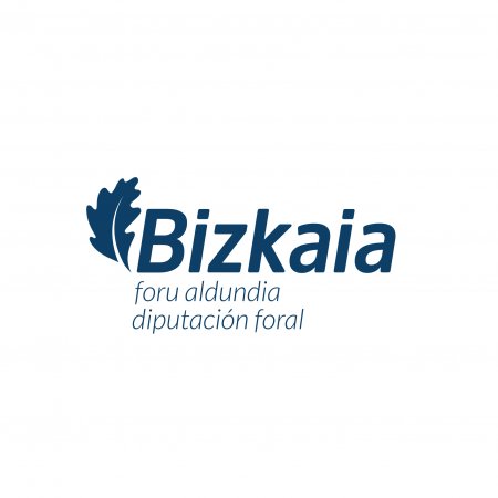 Diputación Foral de Bizkaia